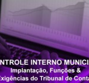 Controle Interno Municipal – Implantação, Funções e Exigências do Tribunal de Contas