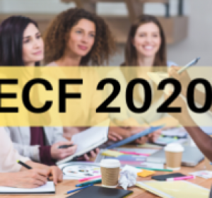 ECF 2020 - Apostila Completa+Vídeos dos Blocos M, N e P (Lucro Real e Presumido)