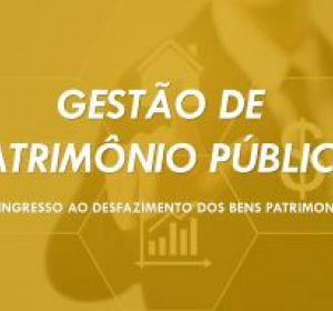 Gestão de Patrimônio Público do Ingresso ao Desfazimento dos Bens Patrimoniais