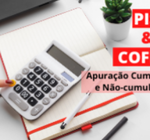 PIS e COFINS – Apuração Cumulativa e Não-cumulativa