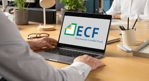 ECF- Escrituração Contábil Fiscal - Presencial