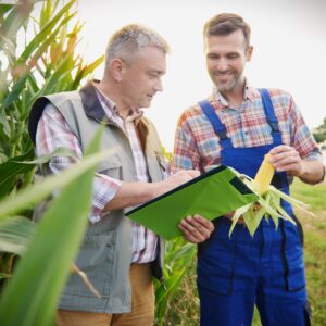 Produtor Rural - Pessoa Jurídica e Pessoa Física - Produtor Rural Integrado (Impacto Da Cbs / Ibs / Is) - Regras Contábeis E Fiscais - Atualizações - Presencial