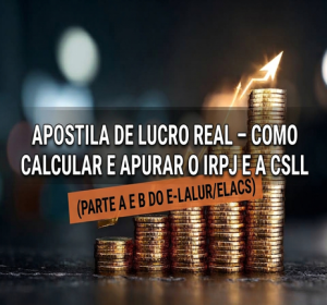 Capa de Lucro Real
