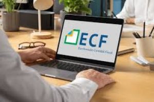 ECF- Escrituração Contábil Fiscal