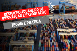 despacho-aduaneiro-de-importacao-e-exportacao-teoria-e-pratica_1